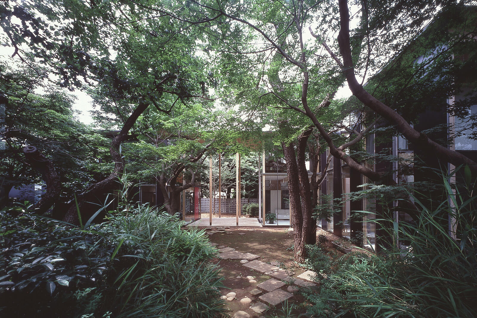 ZIG HOUSE/ZAG HOUSE | NASCA